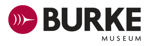 Burke Museum Logo